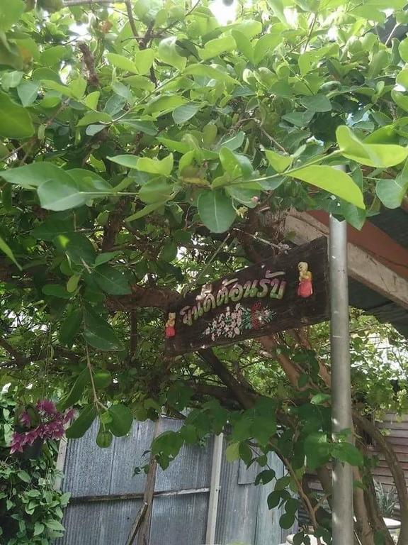 Patchaya Guesthouse Amphawa Ngoại thất bức ảnh