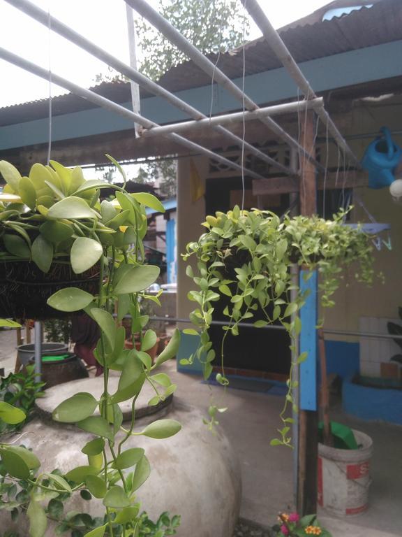 Patchaya Guesthouse Amphawa Ngoại thất bức ảnh