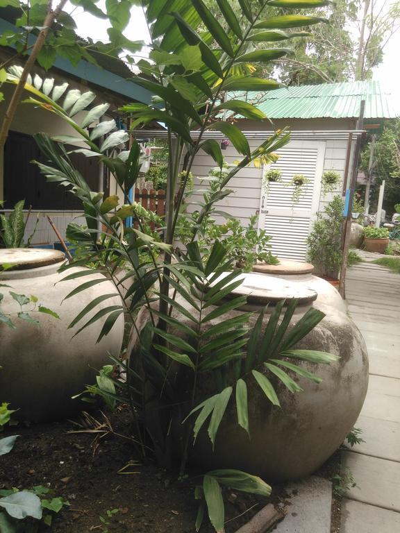 Patchaya Guesthouse Amphawa Ngoại thất bức ảnh