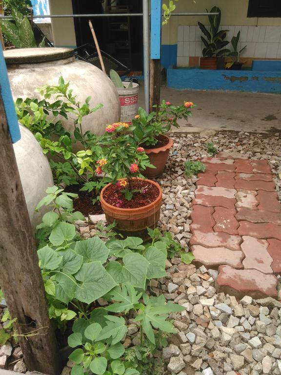 Patchaya Guesthouse Amphawa Ngoại thất bức ảnh